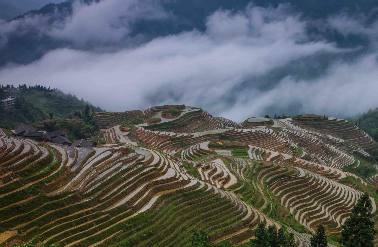 Longji Holiday Hotel 竜勝 エクステリア 写真